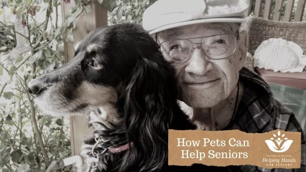 How Pets Can Help Seniors in Portland, OR